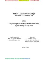 Luận văn thực trạng và giải pháp chủ yếu phát triển ngành đường sắt việt nam 