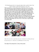 Xu hướng tăng quy mô và tỷ trọng thu nhập từ dịch vụ phi tín dụng trong tổng thu nhập của ngân hàng thương mại việt nam 