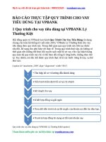 BÁO cáo THỰC tập QUY TRÌNH CHO VAY TIÊU DÙNG tại VPBANK 