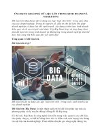 Ứng dụng khai phá dữ liệu lớn trong kinh doanh và marketing 