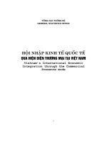 Hội nhập kinh tế quốc tế qua hiện diện thương mại tại Việt Nam