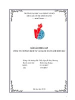 BÁO CÁO THỰC TẬP  CÔNG TY CỔ PHẦN DỊCH VỤ VÀ ĐỊA ỐC ĐẤT XANH MIỀN BẮC