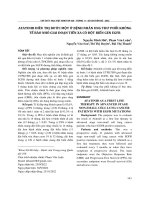 Afatinib điều trị bước một ở bệnh nhân ung thư phổi không tế bào nhỏ giai đoạn tiến xa có đột biến gen EGFR