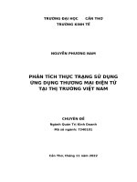 Bản chính chuyên đề PHÂN TÍCH THỰC TRẠNG SỬ DỤNG ỨNG DỤNG THƯƠNG MẠI ĐIỆN TỬ TẠI THỊ TRƯỜNG VIỆT NAM