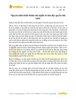 nguyen nhan hinh thanh chu nghia tu ban doc quyen nha nuoc 