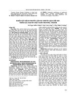 KHẢO SÁT KÍCH THƯỚC SÀN SỌ TRƯỚC QUA NỘI SOI TRÊN XÁC NGƯỜI VIỆT NAM TRƯỞNG THÀNH