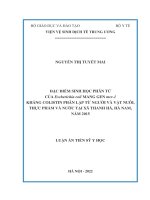 Đặc điểm sinh học phân tử của Escherichia coli mang gen mcr-1 kháng colistin phân lập từ người và vật nuôi, thực phẩm và nước tại xã Thanh Hà, Hà Nam, năm 2015