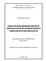 TT sử dụng di sản văn hóa vùng đồng bằng sông cửu long trong dạy học lịch sử việt nam từ nguồn gốc đến năm 1918 ở trường THPT thành phố cần thơ