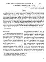 Nghiên cứu ứng dụng vi khuẩn nội sinh bacillus velezensis vy03 trong phòng chống bệnh bạc lá lúa