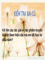 Bai 10 thong tin ve ngay trai dat nam 2000 