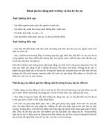 Đánh giá tác động môi trường và chu kỳ dự án vndoc com