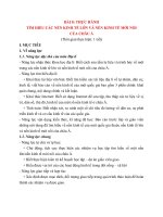 TÌM HIỂU CÁC NỀN KINH TẾ LỚN VÀ NỀN KINH TẾ MỚI NỔI  CỦA CHÂU Á