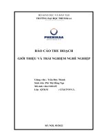 BÁO cáo THU HOẠCH GIỚI THIỆU và TRẢI NGHIỆM NGHỀ NGHIỆP