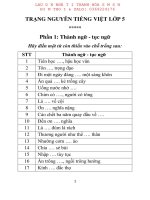 CẨM NANG lớp 5 TRẠNG NGUYÊN TIẾNG VIỆT lớp 5