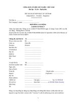 HỢP ĐỒNG LAO ĐỘNG SONG NGỮ VIỆT ANH