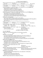 ĐẠI CƯƠNG NHÓM VA