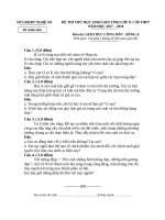 SỞ GD&ĐT NGHỆ AN