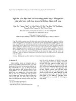 Preliminary data of the biodiversity in the area