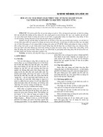 ĐỀ XUẤT CÁC GIẢI PHÁP GIẢM THIỂU VIỆC SỬ DỤNG BAO BÌ NYLON TẠI TP.HCM: HƯỚNG ĐẾN XÃ HỘI TIÊU THỤ BỀN VỮNG