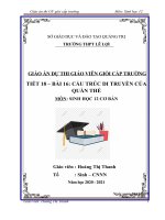 Giáo án thi GV giỏi cấp trường                                     Môn: Sinh học 12