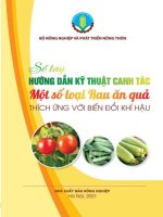 Sổ tay hướng dẫn kỹ thuật canh tác một số loại rau ăn quả thích ứng với biến đổi khí hậu
