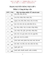 CẨM NANG lớp 1 TRẠNG NGUYÊN TIẾNG VIỆT lớp 1