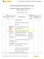 Kế hoạch giáo dục môn âm nhạc lớp 1 sách cánh diều   vndoc com