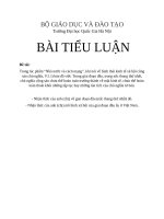 chủ nghĩa khoa học xã hội