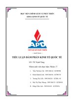 TIỂU LUẬN ĐÀM PHÁN KINH TẾ QUỐC TẾ