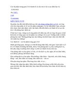 Các bộ phận trong gara ô tô  thành tố và cấu trúc tỉ lệ ra sao