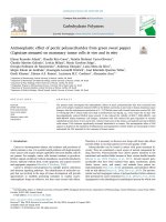 Antineoplastic effect of pectic polysaccharides from green sweet pepper (Capsicum annuum) on mammary tumor cells in vivo and in vitro
