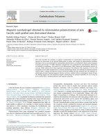 Magnetic nanohydrogel obtained by miniemulsion polymerization of poly (acrylic acid) grafted onto derivatized dextran