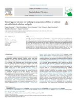 Time-triggered calcium ion bridging in preparation of films of oxidized microfibrillated cellulose and pulp