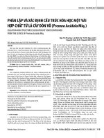 Phân lập và xác định cấu trúc hóa học một vài hợp chất từ lá cây đòn võ (Premna lucidula Miq.)