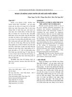 Nhau cài răng lược dưới góc độ giải phẫu bệnh