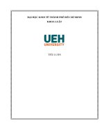 Tiểu luận vấn đề pháp lý nội dung dân sự có yếu tố nước ngoài