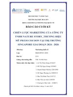 Chiến lược marketing của công ty TNHH nature story thương hiệu mỹ phẩm  cocoon tại thị trường singapore giai đoạn 2024 2026