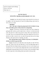 Mẫu số 2: báo cáo sáng kiến