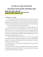 CƠ sở lý LUẬN về rủi RO tín DỤNG NGÂN HÀNG THƯƠNG mại