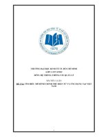 MÔ HÌNH CHÍNH PHỦ điện tử và ỨNG DỤNG tại VIỆT NAM