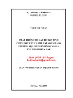 Luận văn Thạc sĩ Quản trị kinh doanh: Phát triển cho vay hộ gia đình chăm sóc cây cà phê tại Ngân hàng thương mại cổ phần Đông Nam Á - Chi nhánh Đăk Lăk