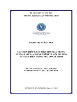Các biện pháp khắc phục hậu quả trong xử phạt vi phạm hành chính về môi trường từ thực tiễn thành phố hồ chí minh