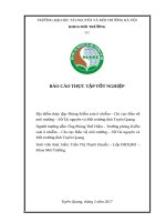 Đánh giá hiện trạng thực thi báo cáo giám sát môi trường định kì của ngành sản xuất vật liệu xây dựng trên địa bàn tỉnh Tuyên Quang