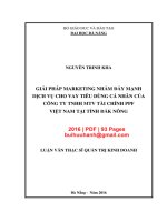 Luận văn Thạc sĩ Quản trị kinh doanh: Giải pháp marketing nhằm đẩy mạnh dịch vụ cho vay tiêu dùng cá nhân của Công ty TNHH tài chính PPF Việt Nam tại tỉnh Đăk Nông