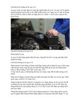 Giải thích các thông số ắc quy ô tô