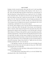 Luận án nghiên cứu bào chế viên nén felodipin giải phóng kéo dài