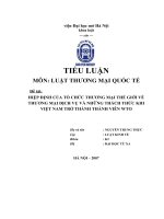 HIỆP ĐỊNH CỦA TỔ CHỨC THƯƠNG MẠI THẾ GIỚI VỀ THƯƠNG MẠI DỊCH VỤ VÀ NHỮNG THÁCH THỨC KHI VIỆT NAM TRỞ THÀNH THÀNH VIÊN WTO