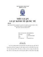 HIỆP ĐỊNH NÔNG NGHIỆP CỦA WTO VÀ NHỮNG THÁCH THỨC LIÊN QUAN ĐẾN LĨNH VỰC NÔNG NGHIỆP KHI VIỆT NAM GIA NHẬP WTO