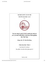 Tòa án công lý quốc tế (icj) dưới góc nhìn từ các vụ tranh chấp biển và bài học kinh nghiệm cho việt nam