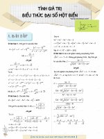 Tinh gia tri bieu thuc mot bien